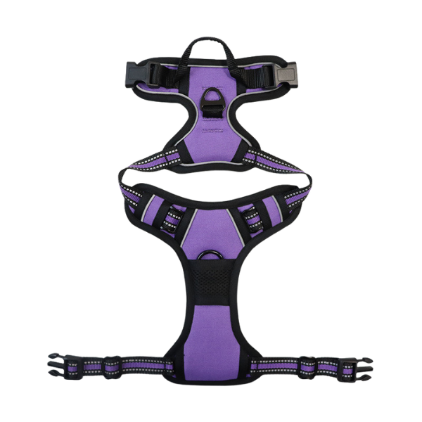 Coloured Body Harness - Purple | Petzclo